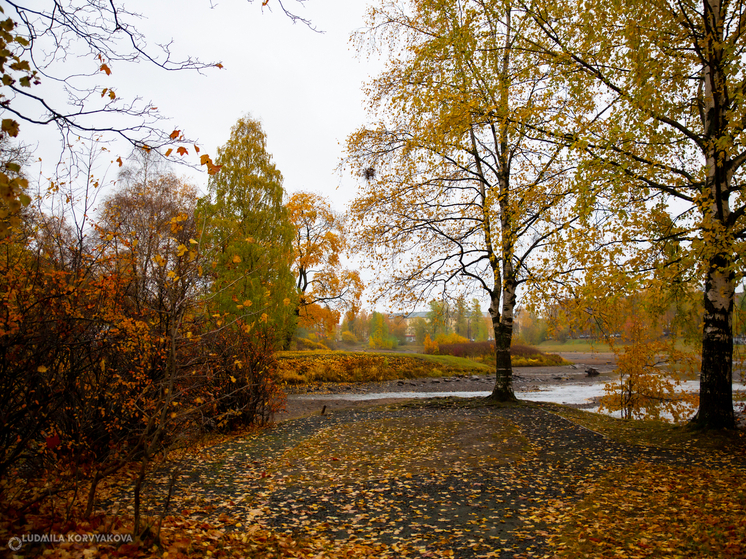 Неделя в Карелии начнется с потепления до +8 °С