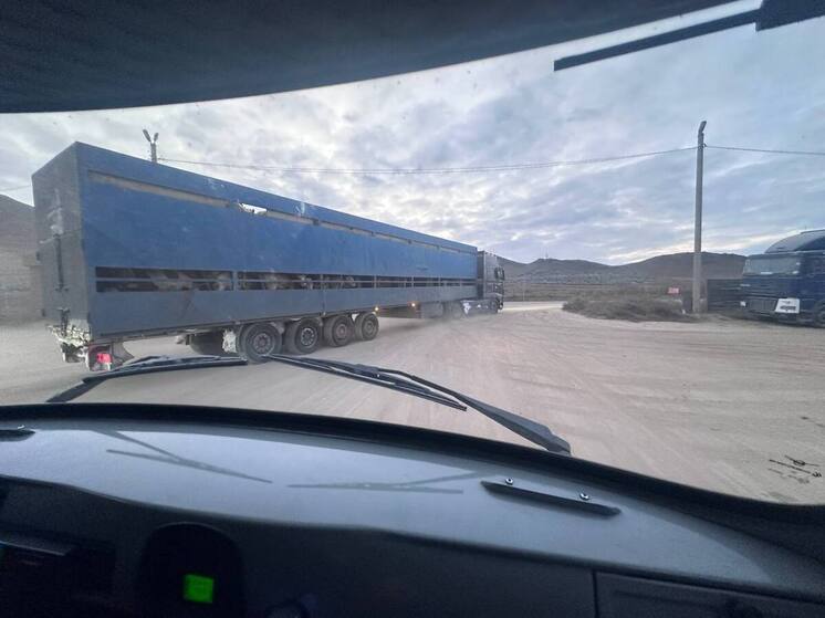 В Улан-Удэ остановили перевозку 120 голов крупнорогатого скота без документов