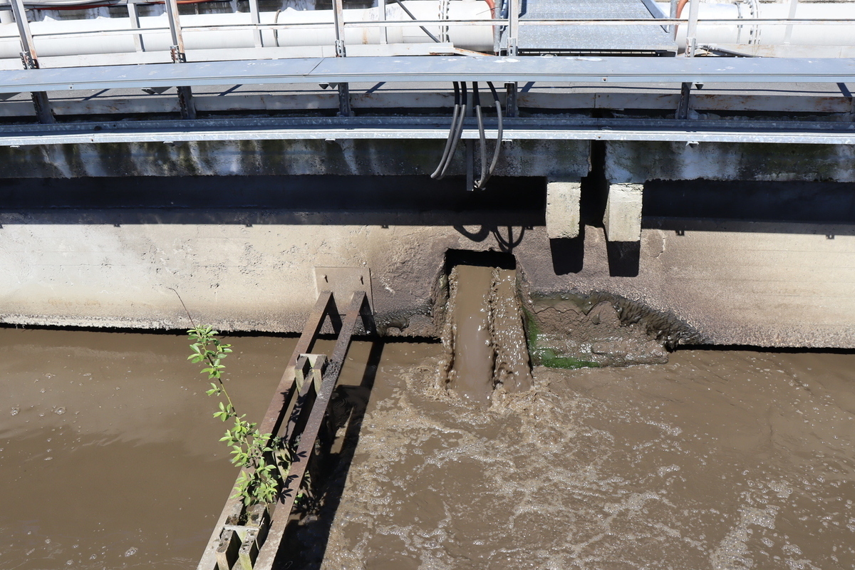 Residenti di antico villaggio in Carelia chiedono impianti di depurazione attraverso tribunale per salvaguardare ambiente e salute pubblica