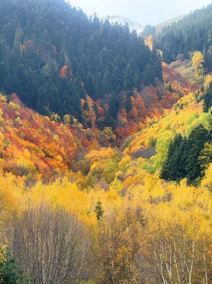 Золотая осень Кавказа: почему бархатный сезон бьет рекорды популярности