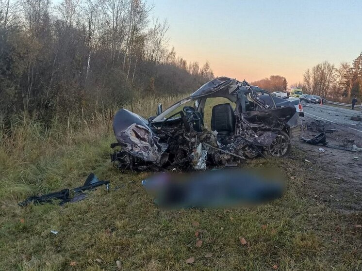 Трехмесячный ребенок погиб вместе с родителями в страшной аварии на трассе «Великий Новгород — Псков»