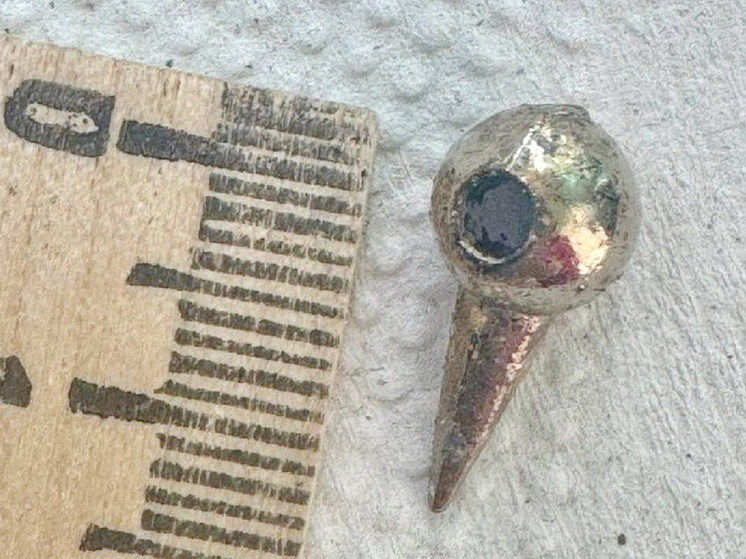 Врачи спасли российского школьника с острым шипом в пищеводе