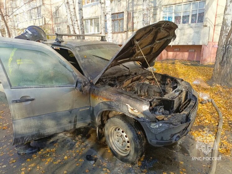 В Кургане прохожие спасли мужчину из горящего автомобиля