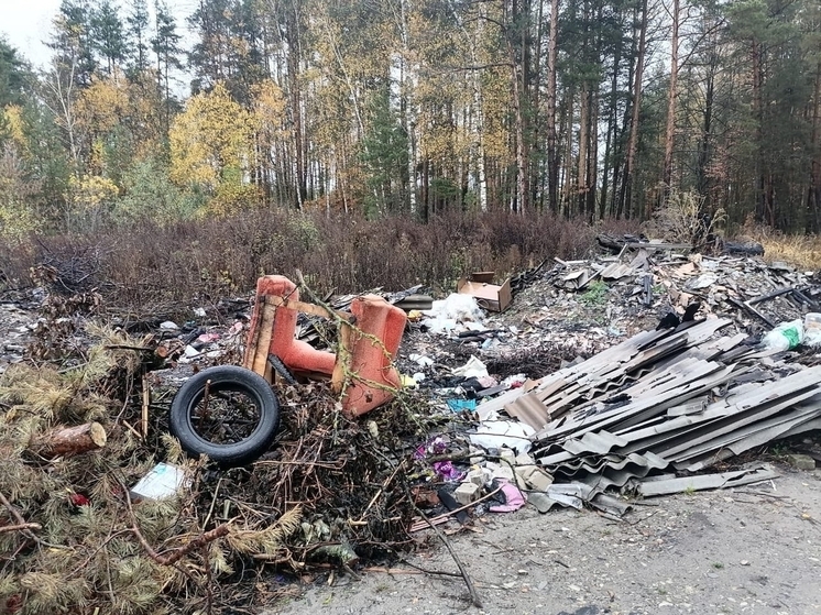 В Селивановском районе прокурор требует очистить территорию от свалок