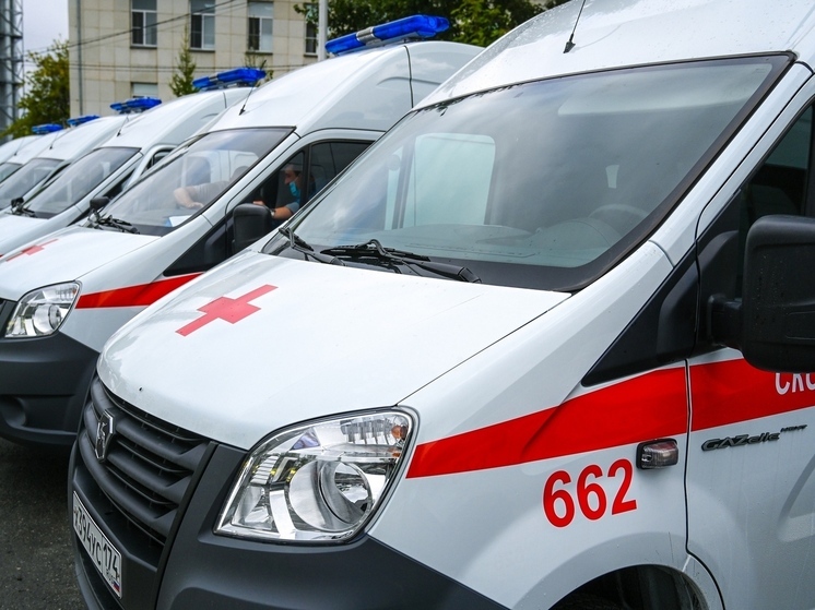 В Челябинской области за 48 часов сбили насмерть троих пешеходов