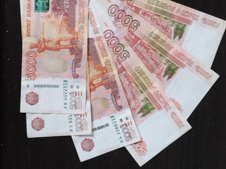 Суд оштрафовал жителя Североморска на 450 тыс за попытку подкупить ДПС