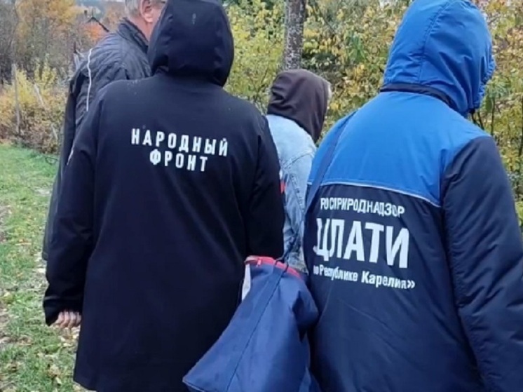 В Заозерье выявлен еще один зловонный ручей