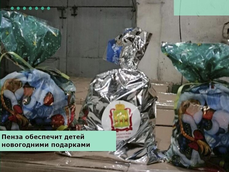 Юные запорожцы получат новогодние подарки от Пензенской области