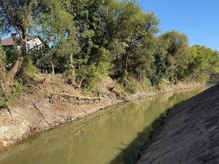 В Курске реку Тускарь чистят с опозданием