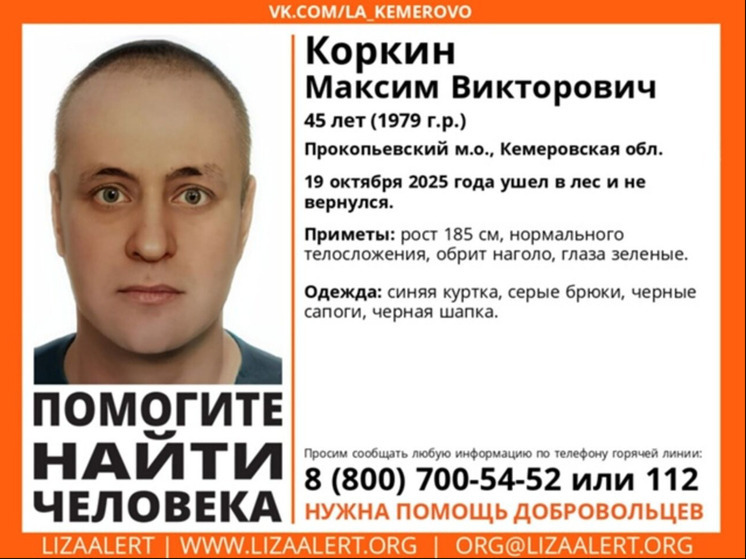 Мужчина пропал в кузбасском лесу