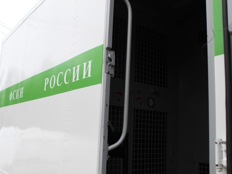 Житель Череповца похитил более 3,5 миллионов рублей, предлагая помочь получить права