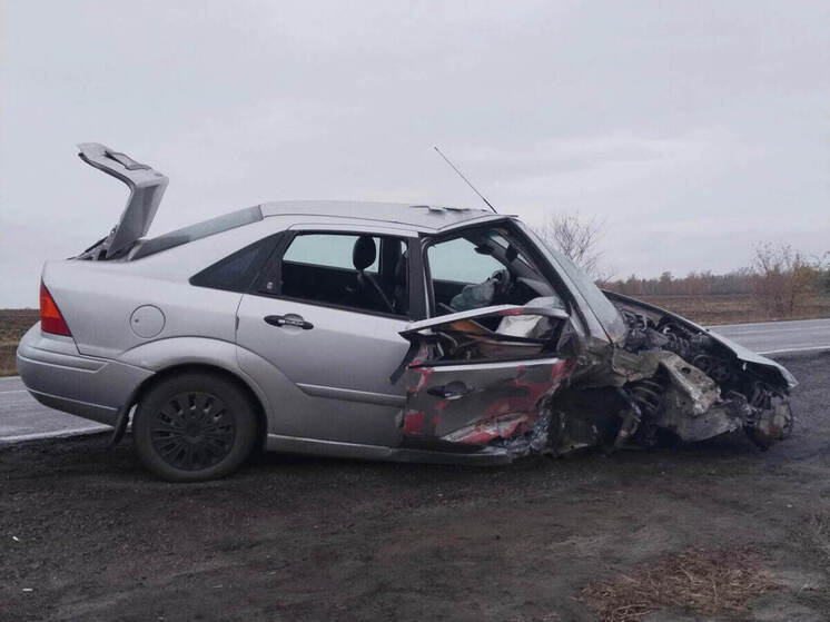 Пьяная водитель врезалась на скорости в автобусную остановку под Воронежем