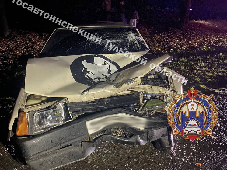 Молодой пьяный водитель ВАЗа под Тулой спровоцировал ДТП с пострадавшим