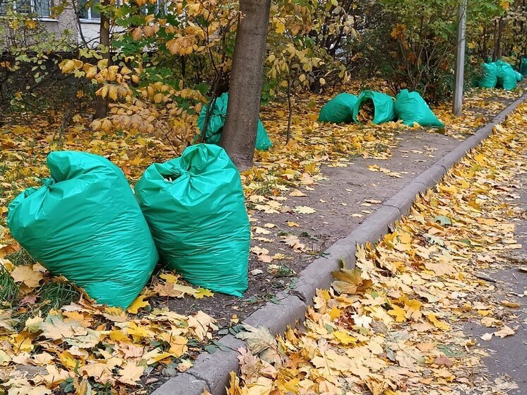 Жилищный комитет подготовил Петербург к зиме на 60%