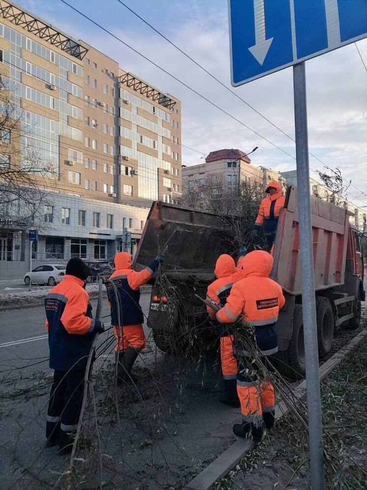 В Омске обновляют зелёные насаждения на улице Маяковского