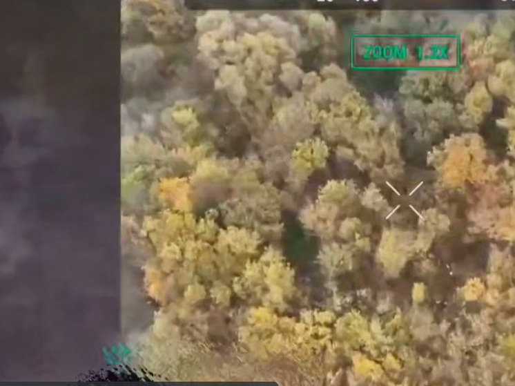 Кадыров: «Ахмат» уничтожил укрепленный опорный пункт ВСУ на Сумском направлении