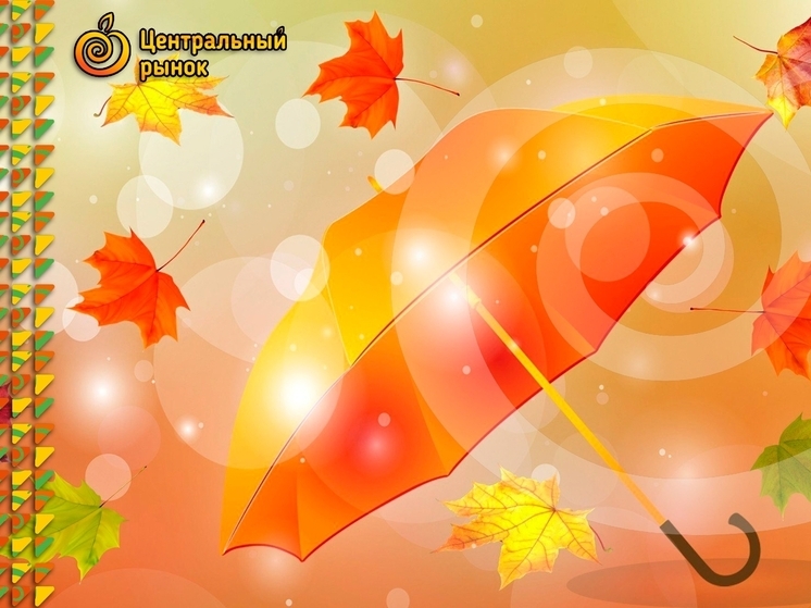 Зонты на любой вкус предлагает «Новомосковский рынок»