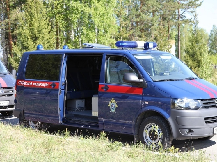 В лесу в Выборгском районе туристы нашли костные останки человека
