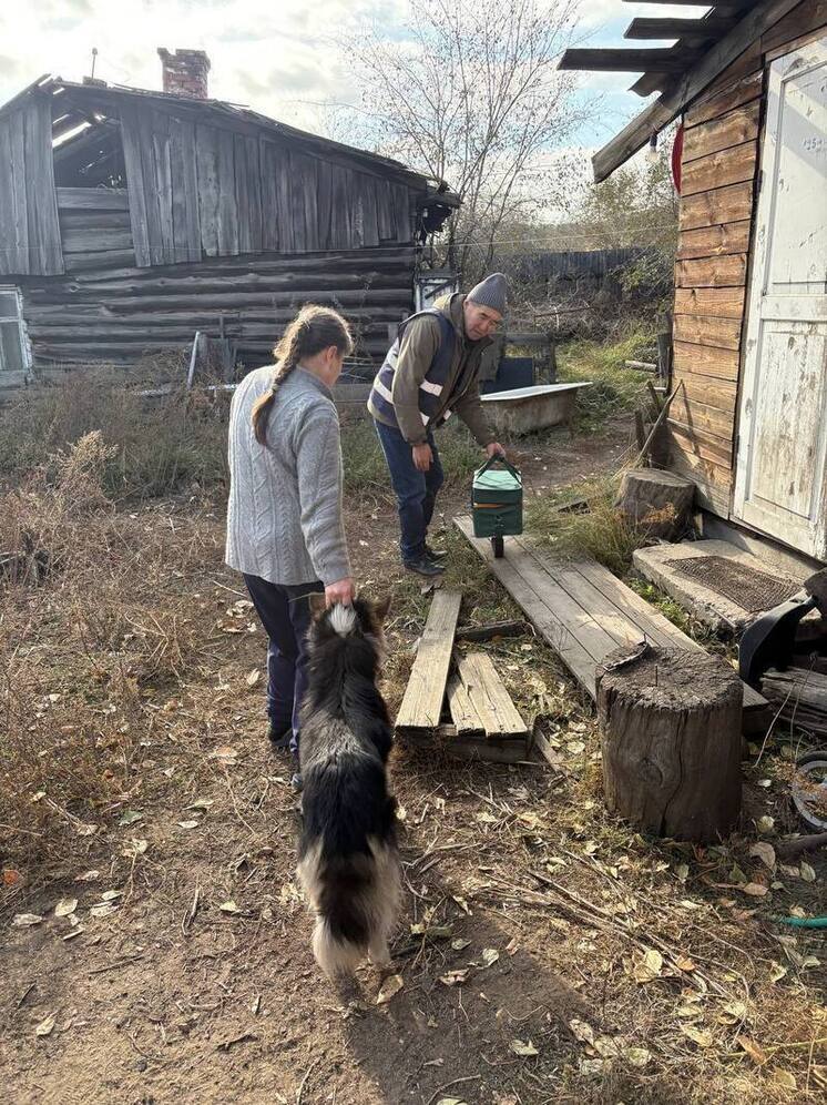В Улан-Удэ провели рейд по безнадзорным собакам