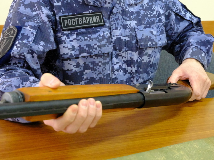 В этом году жители Марий Эл сдали 14 единиц оружия