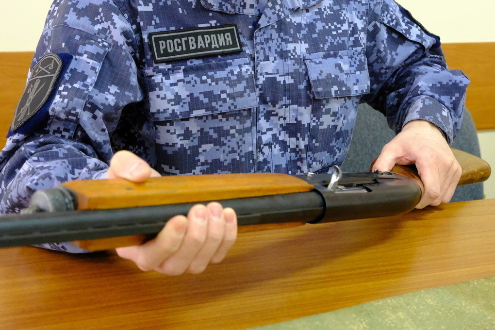 Resa di armi da fuoco nella regione di Mari El: un passo verso la sicurezza e la pace