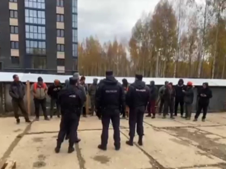 В Ярославле на стройке выявлены 13 незаконных мигрантов