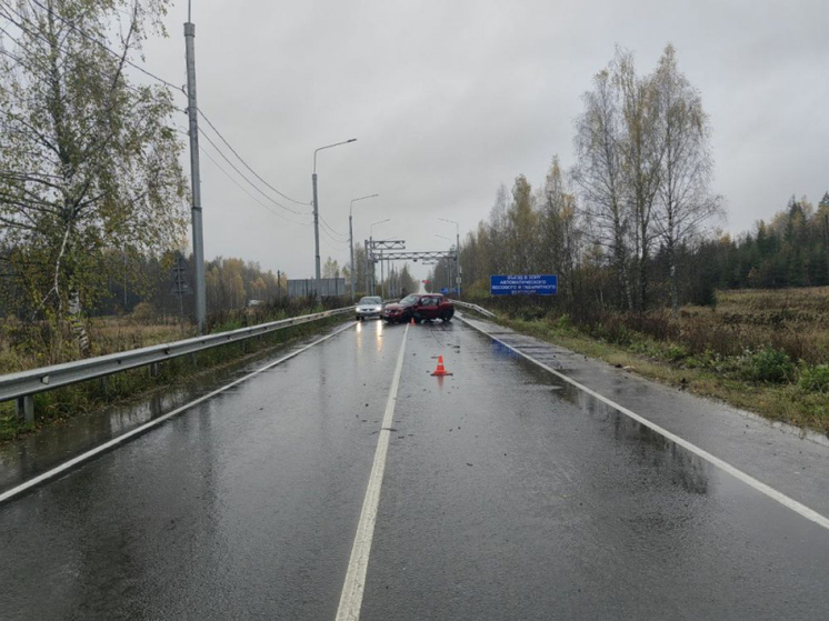 Во Владимирской области произошло 362 ДТП