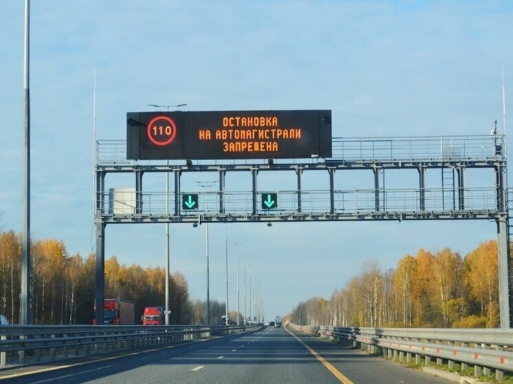 Новгородцев предупредили о введении зимнего скоростного режима на трассе М-11 «Нева»