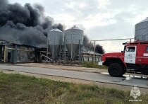 Ситуация с известным предприятием Тульской области ООО «Воловский Бройлер» с каждым днем становится все более запутанной