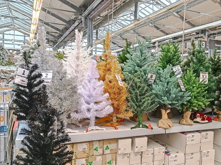 Новогодние базары начнут появляться в Кургане с 1 декабря