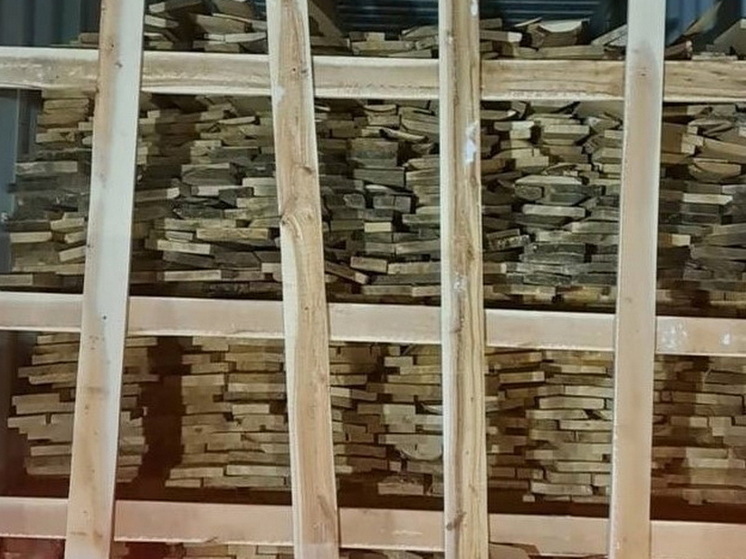 Йошкаролинку обвиняют в незаконном вывозе леса из Марий Эл