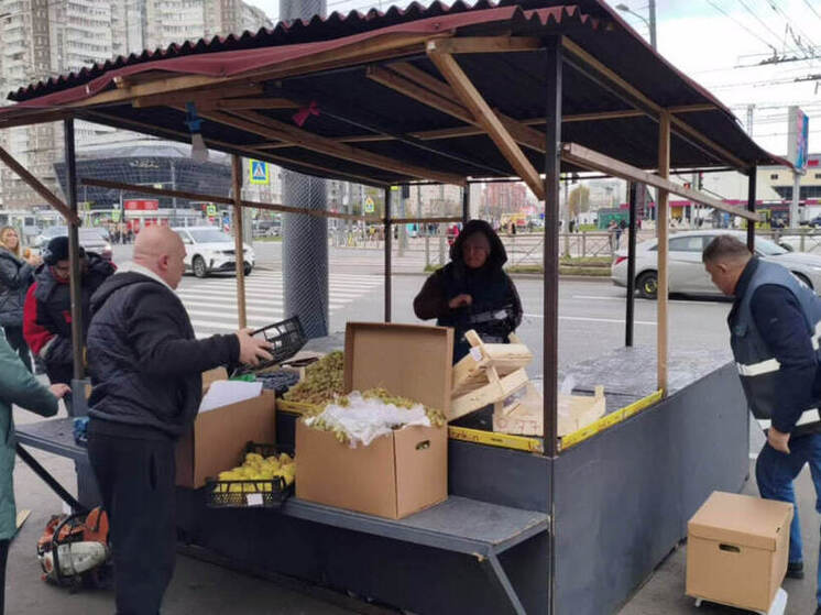 В Петербурге торговец-упрямец снова лишился своей палатки у «Пионерской»