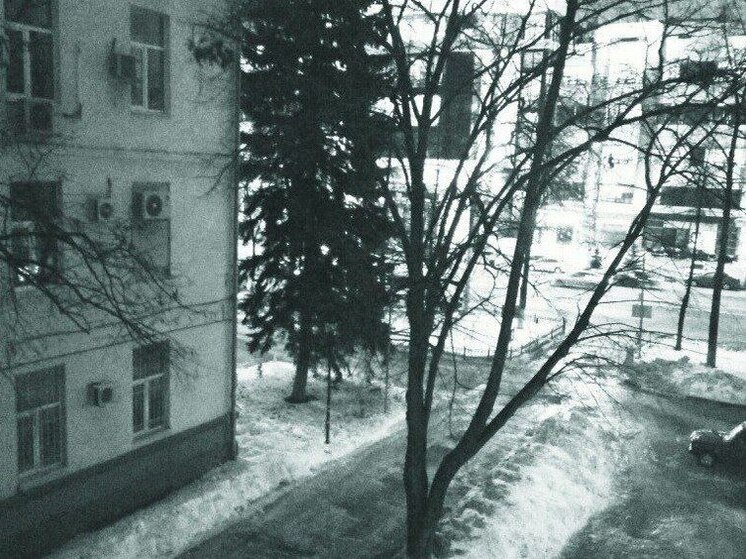 Заморозки накроют Воронеж в ближайшие дни
