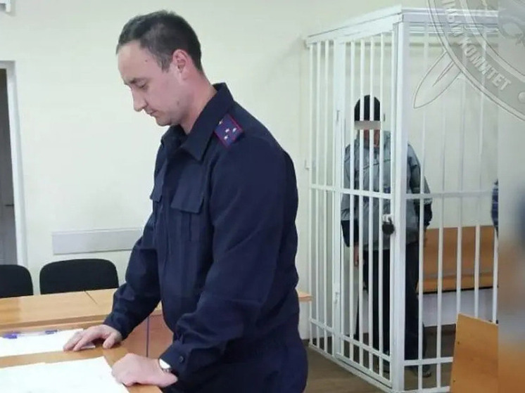 Костромской суд на два месяца арестовал подозреваемого в покушении на похищение ребенка