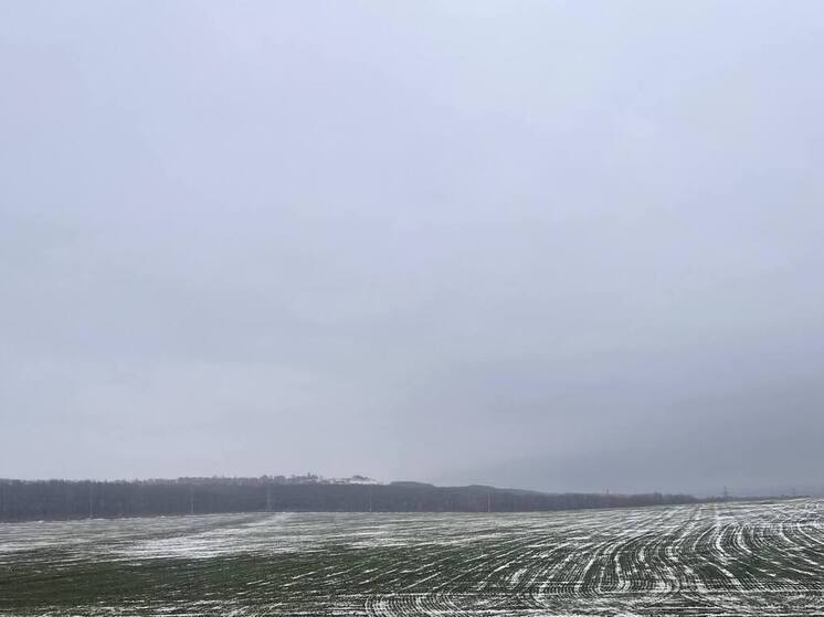 Владимиров: аграрии Ставрополья застраховали рекордные 900 тысяч га посевов