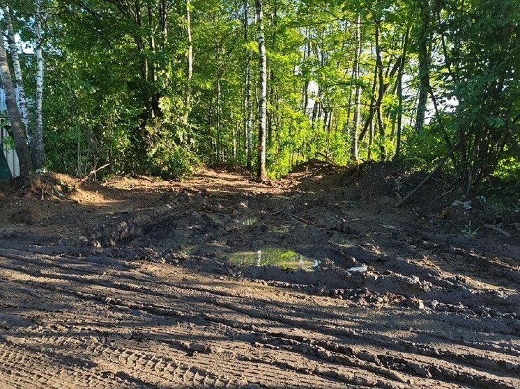 Суд взыскал с предпринимателя 13 млн рублей за незаконную свалку в Подмосковье