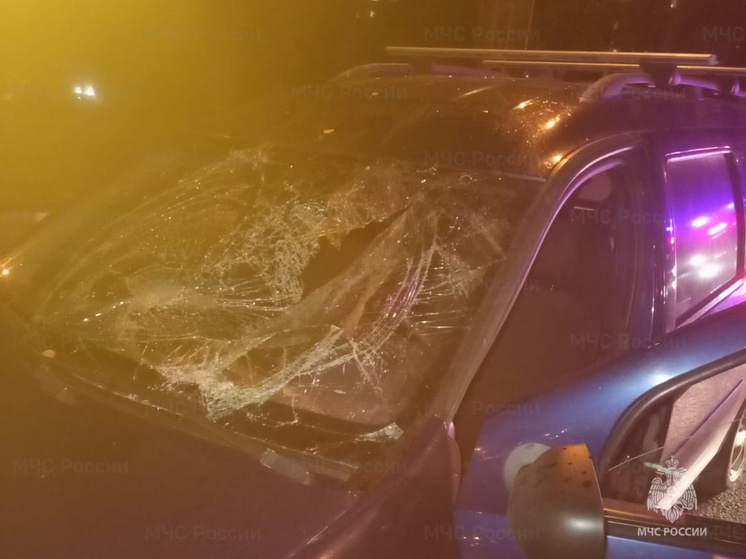 Калужские инспектора сообщили подробности аварии под Жуковом