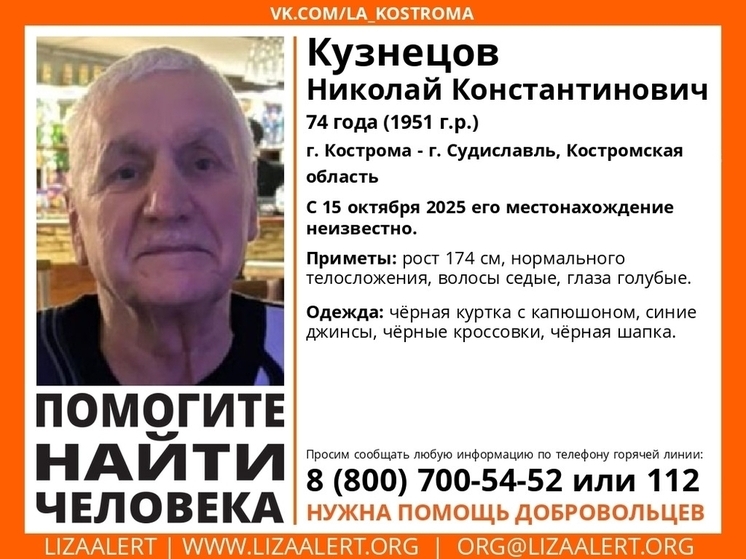 Записи с видеорегистраторов костромских автомобилистов нужны для поиска пропавшего мужчины