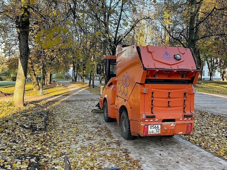 Дорожные службы Великого Новгорода вышли на борьбу с листвой