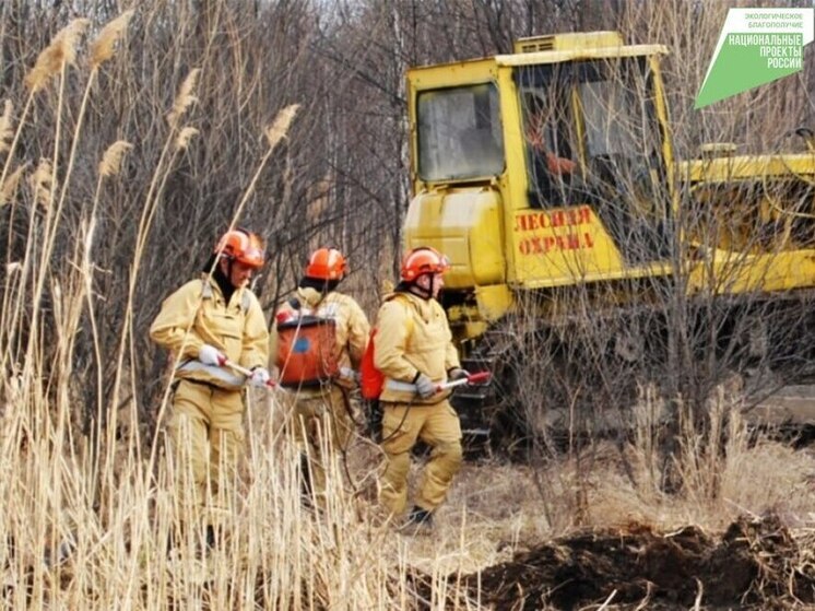 В Хабаровском крае за неделю ликвидировали девять лесных пожаров