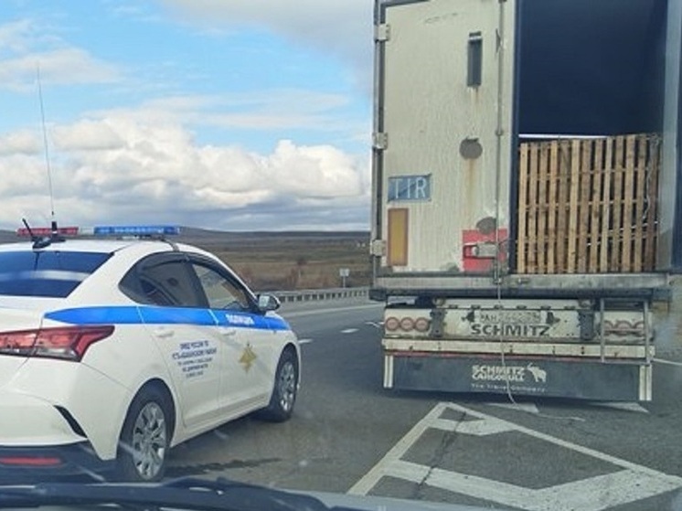 В Дагестан пытались увезти хакасских коров со странными чипами