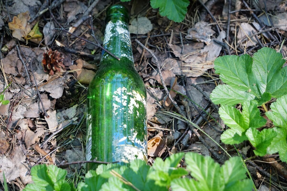 Добровольцы очистили более 150 стоянок от мусора в Ленобласти