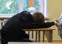 «А не учить ли детей в школе 12 лет?» — задумались очередные активисты из Общественной палаты РФ