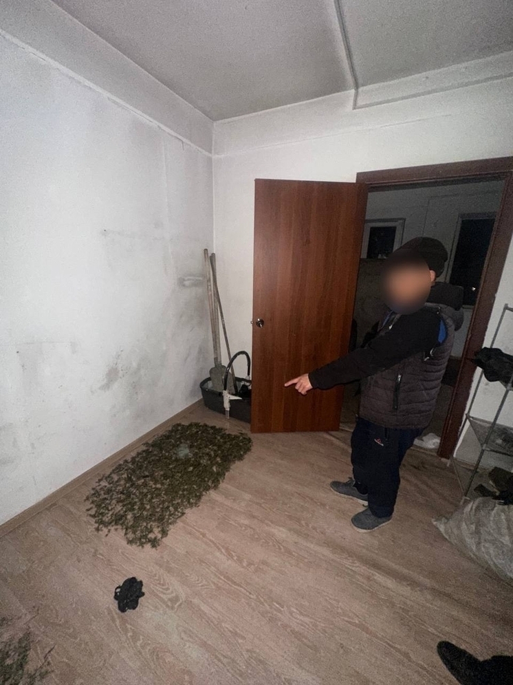 В Шагонаре раскрыт факт незаконного оборота наркотических средств