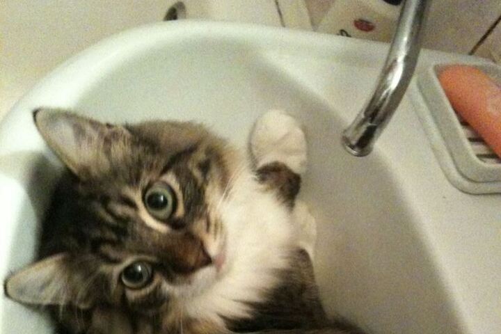 Весь Волхов отключили от водоснабжения из-за аварии