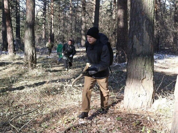 Экологи и волонтеры спасают Рудничный бор в Кемерове