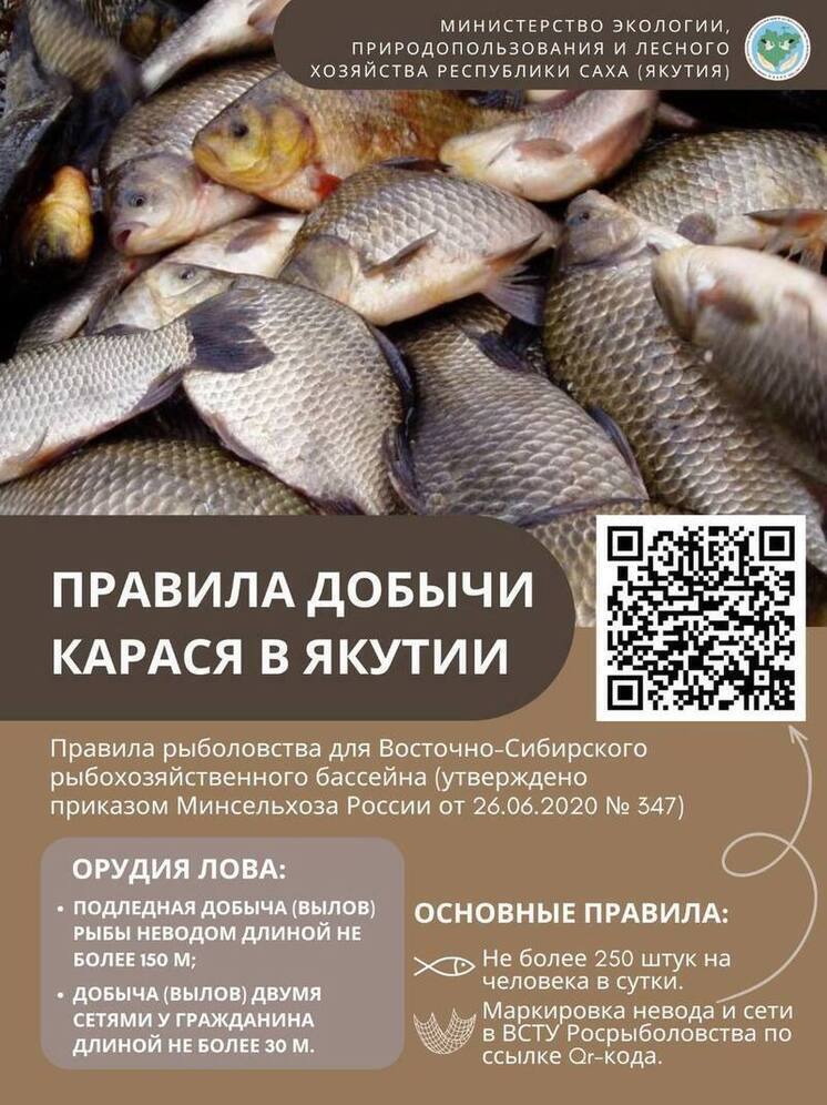 Минэкологии Якутии разъяснило правила любительской добычи карася