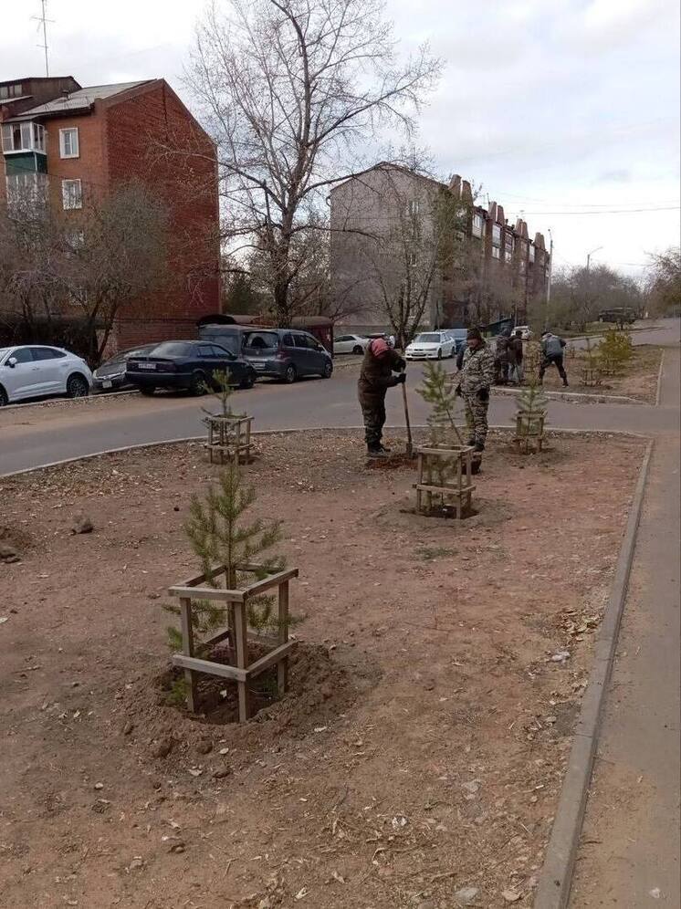 В Улан-Удэ завершили осеннюю высадку деревьев и кустарников