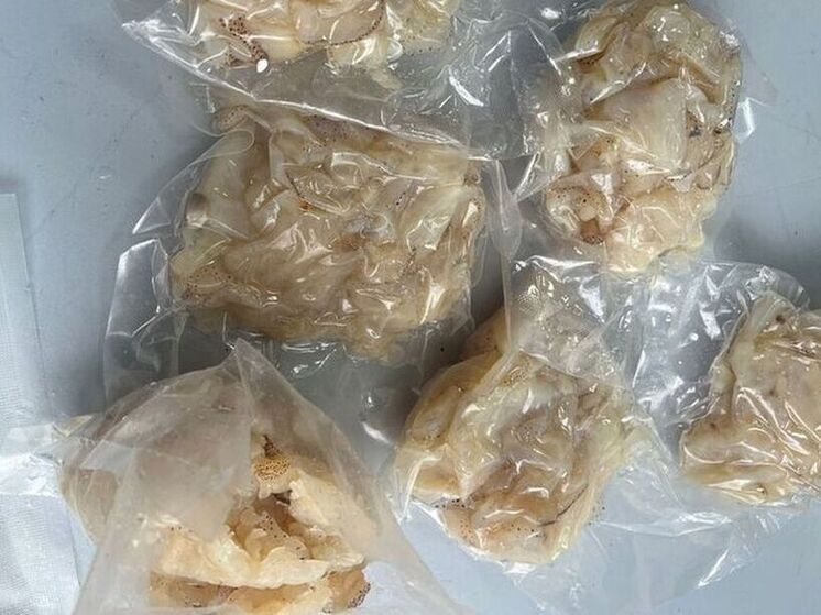 Пассажира из Вьетнама задержали в Иркутске за мясо медуз