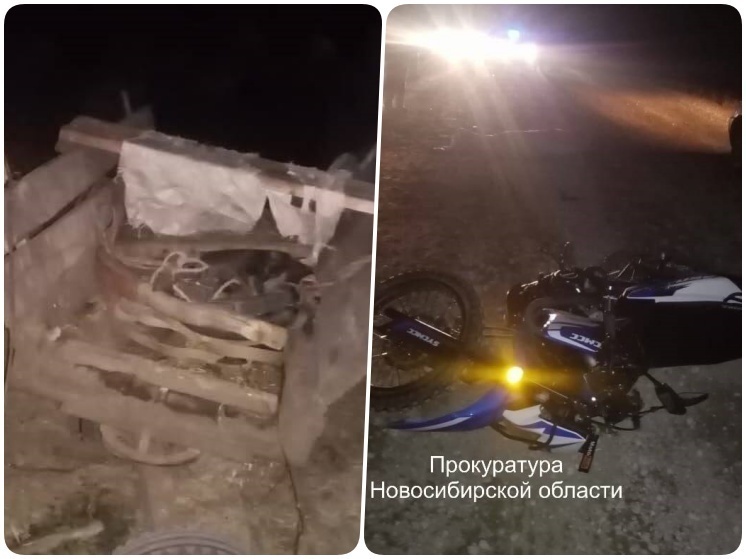 Мотоциклист погиб при столкновении с гужевой повозкой в Новосибирской области